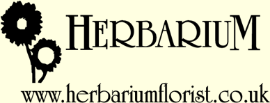 Herbarium